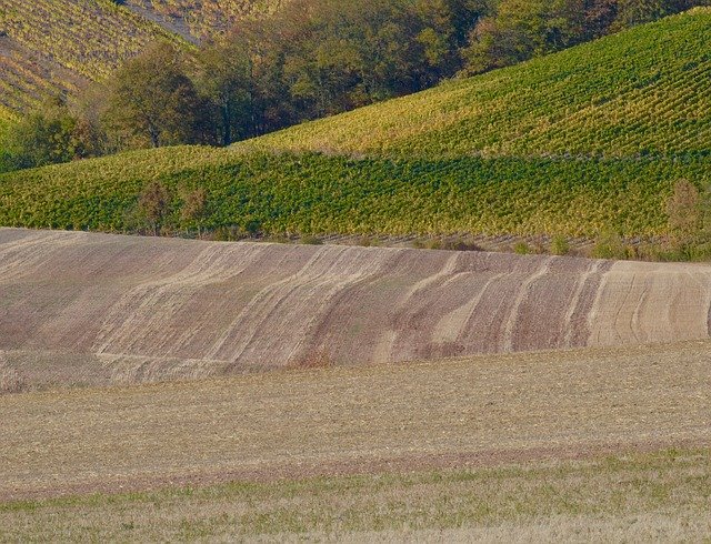 Téléchargement gratuit de Champs Agriculture Paysage - photo ou image gratuite à modifier avec l'éditeur d'images en ligne GIMP