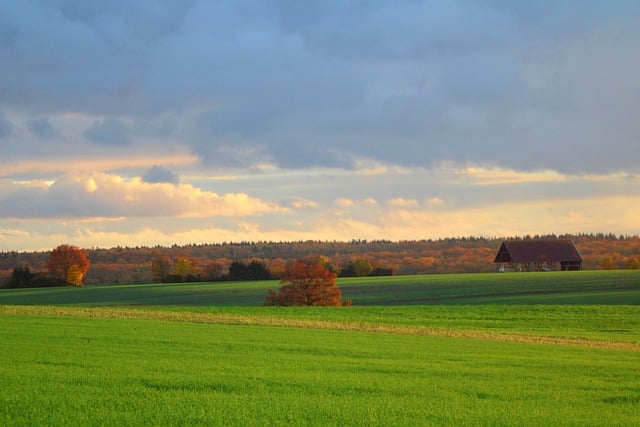 Kostenloser Download Felder Scheune Herbstlandschaft ländliches kostenloses Bild, das mit dem kostenlosen Online-Bildeditor GIMP bearbeitet werden kann