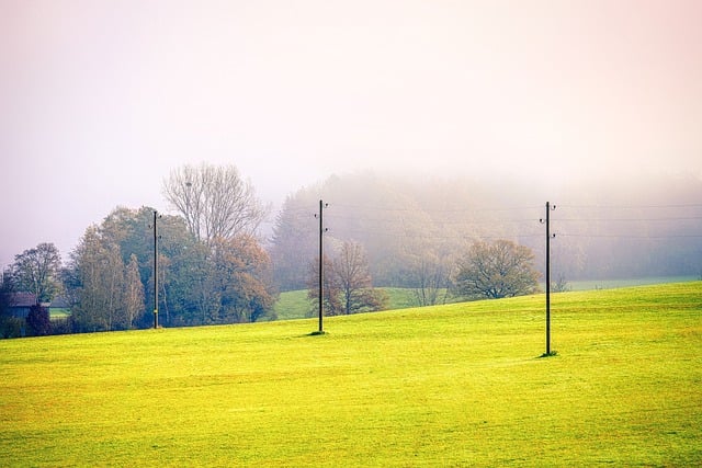 Free download fields flowers yellow meadow fog free picture to be edited with GIMP free online image editor