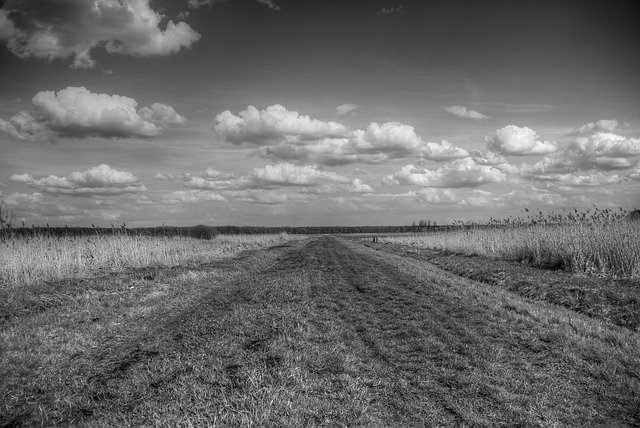 ດາວ​ໂຫຼດ​ຟຣີ Field Sky Clouds - ຮູບ​ພາບ​ຟຣີ​ຫຼື​ຮູບ​ພາບ​ທີ່​ຈະ​ໄດ້​ຮັບ​ການ​ແກ້​ໄຂ​ກັບ GIMP ອອນ​ໄລ​ນ​໌​ບັນ​ນາ​ທິ​ການ​ຮູບ​ພາບ​