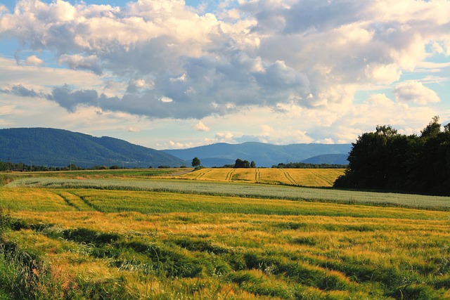 Free download fields mountains meadow summer free picture to be edited with GIMP free online image editor