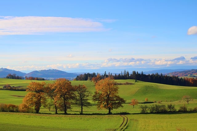 Free download fields nature landscape rural free picture to be edited with GIMP free online image editor