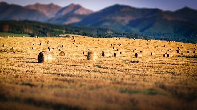 Descarga gratuita Field Straw Mountains: foto o imagen gratuitas para editar con el editor de imágenes en línea GIMP