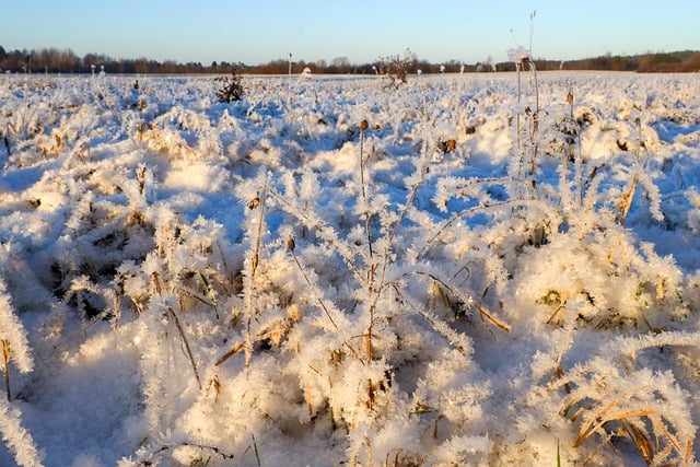 Free download field stubble frost winter horizon free picture to be edited with GIMP free online image editor