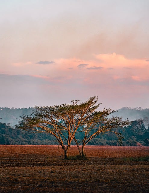 Free download field sunset red soil landscape free picture to be edited with GIMP free online image editor