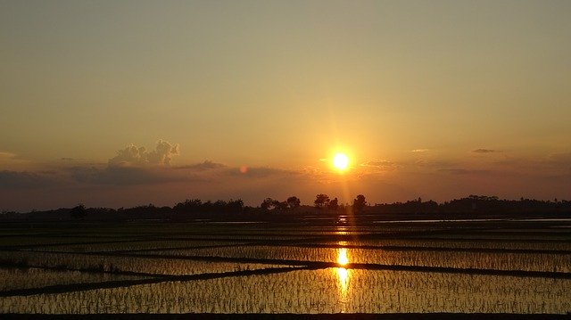Téléchargement gratuit de Field Sun Sunset - photo ou image gratuite à éditer avec l'éditeur d'images en ligne GIMP