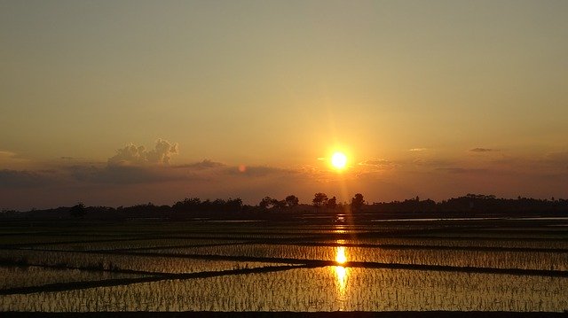 Unduh gratis Field Sun Sunset - foto atau gambar gratis untuk diedit dengan editor gambar online GIMP