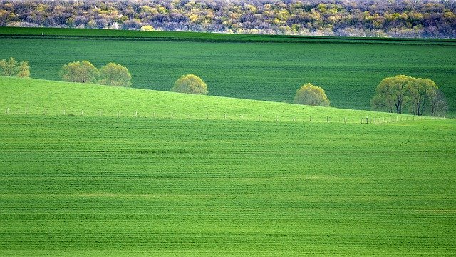 تنزيل Field Texture Geometric مجانًا - صورة مجانية أو صورة يتم تحريرها باستخدام محرر الصور عبر الإنترنت GIMP