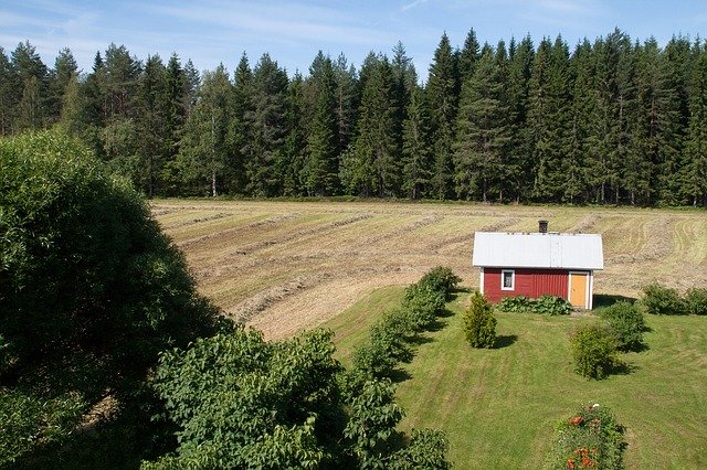 무료 다운로드 Field The Harvest Cultivation - 무료 사진 또는 GIMP 온라인 이미지 편집기로 편집할 수 있는 사진