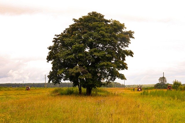 تنزيل Field Village Dacha مجانًا - صورة أو صورة مجانية ليتم تحريرها باستخدام محرر الصور عبر الإنترنت GIMP