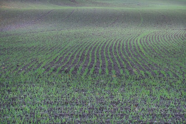 Free download field winter sowing fall landscape free picture to be edited with GIMP free online image editor