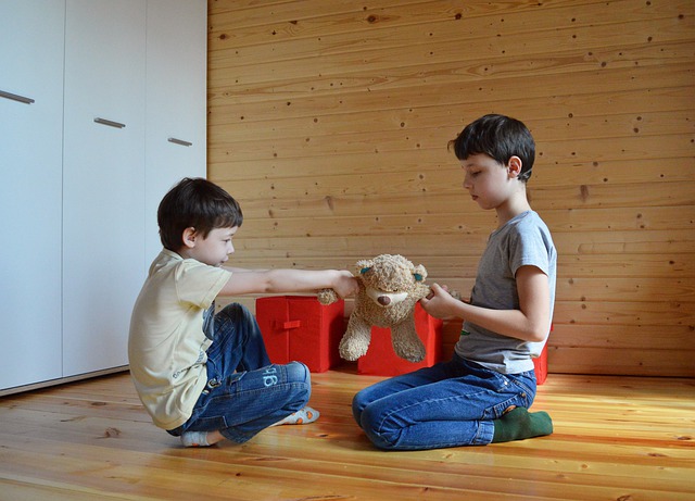 Free download fight do not share a toy free picture to be edited with GIMP free online image editor