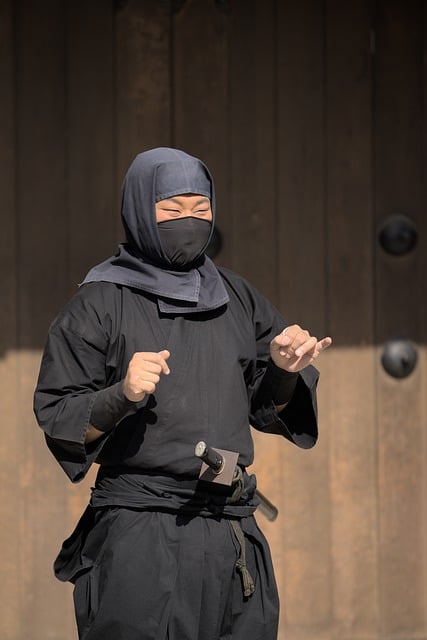 Free download fighter ninja japan film village free picture to be edited with GIMP free online image editor