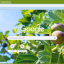 Fig Tree  screen for extension Chrome web store in OffiDocs Chromium