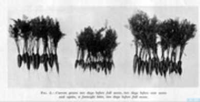 Free download Figure 2_Agriculture of Tomorrow free photo or picture to be edited with GIMP online image editor