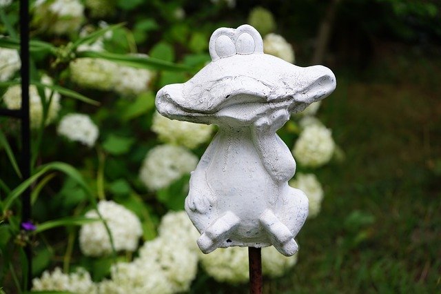 تحميل مجاني Figure Frog Garden - صورة مجانية أو صورة ليتم تحريرها باستخدام محرر الصور عبر الإنترنت GIMP