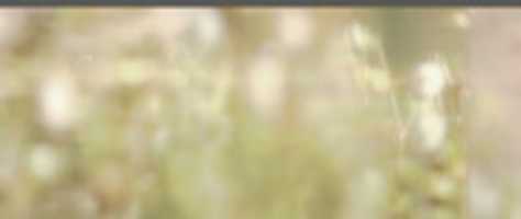 Free download fileds.rec free photo or picture to be edited with GIMP online image editor