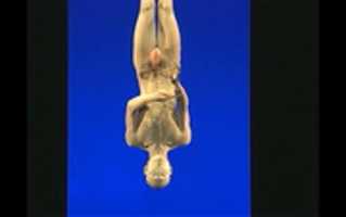 Free download Film Stills from Butoh Documentaries free photo or picture to be edited with GIMP online image editor