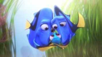 Free download finding_dory_still_2 free photo or picture to be edited with GIMP online image editor
