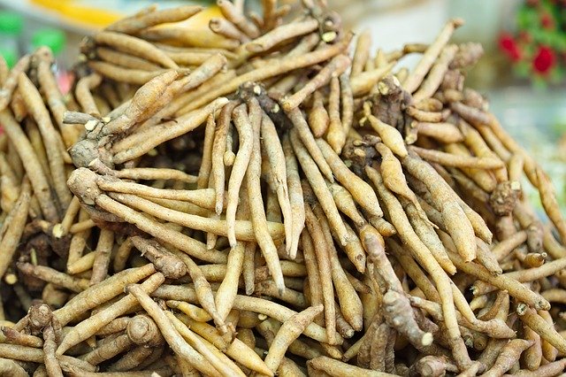 Скачать бесплатно Finger Roots Root Food - бесплатное фото или изображение для редактирования с помощью онлайн-редактора изображений GIMP