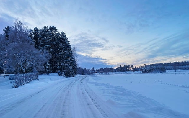 Téléchargement gratuit d'une image gratuite de gel froid en hiver en Finlande à modifier avec l'éditeur d'images en ligne gratuit GIMP