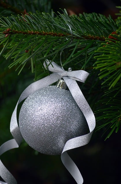 Free download fir branch christmas ornament free picture to be edited with GIMP free online image editor