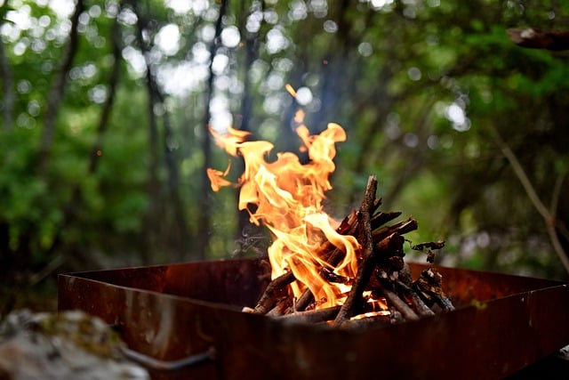 Free download fire barbecue grill bbq forest free picture to be edited with GIMP free online image editor