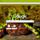 Fire Bellied Toad  screen for extension Chrome web store in OffiDocs Chromium