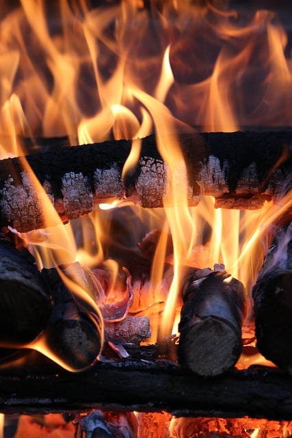 Free download fire burn flame barbecue free picture to be edited with GIMP free online image editor