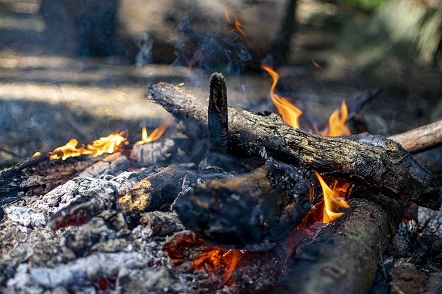 Безкоштовно завантажити Fire Camping Wood - безкоштовне фото або зображення для редагування за допомогою онлайн-редактора зображень GIMP
