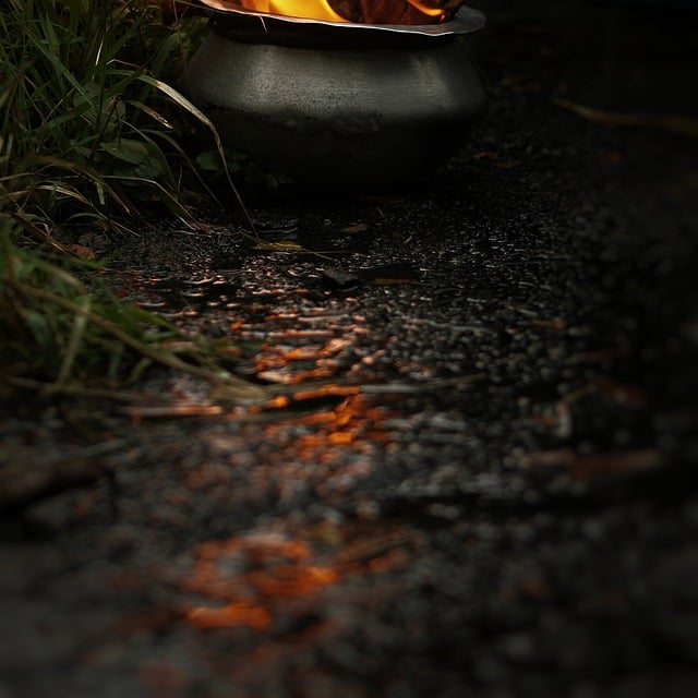 Free download fire flame water forest wilderness free picture to be edited with GIMP free online image editor