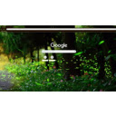 Firefly Forest  screen for extension Chrome web store in OffiDocs Chromium