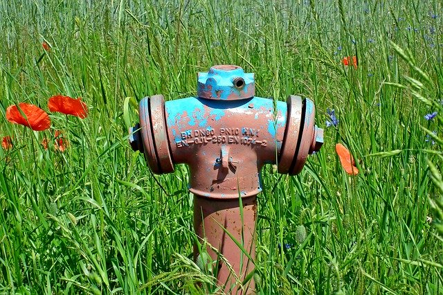 Free download Fire Hydrant Meadow Grass -  free free photo or picture to be edited with GIMP online image editor