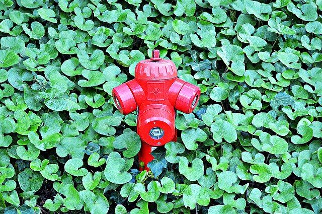 دانلود رایگان Fire Hydrant Water Fighting - عکس یا تصویر رایگان قابل ویرایش با ویرایشگر تصویر آنلاین GIMP
