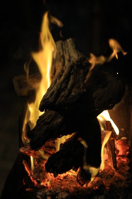 הורדה חינם Fire Koster Firewood - תמונה או תמונה בחינם לעריכה עם עורך התמונות המקוון GIMP