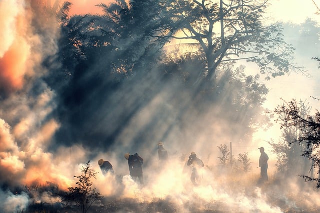 Free download firemen fire smoke rescue brave free picture to be edited with GIMP free online image editor