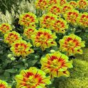 fire tulip wallpaper  screen for extension Chrome web store in OffiDocs Chromium