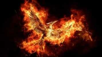 Free download fire-ultra-hd-wallpaper_1 free photo or picture to be edited with GIMP online image editor