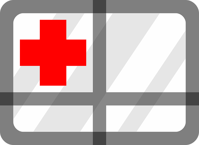 Free download First Aid Red - Free vector graphic on Pixabay free illustration to be edited with GIMP free online image editor