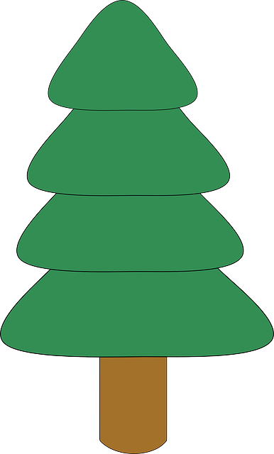 Free download Fir Tree Plant - Free vector graphic on Pixabay free illustration to be edited with GIMP free online image editor