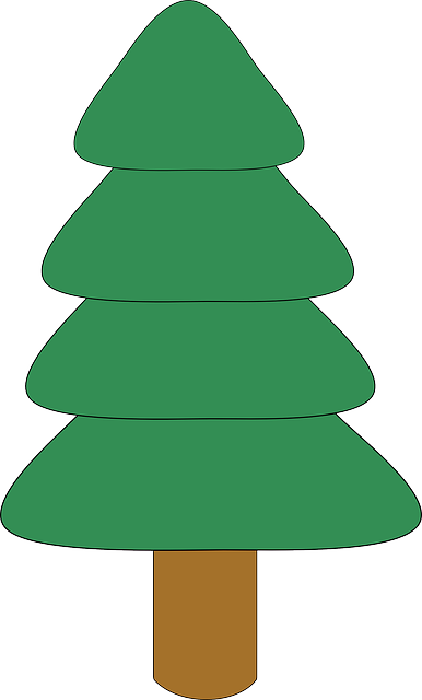 Free download Fir Tree Plant - Free vector graphic on Pixabay free illustration to be edited with GIMP free online image editor