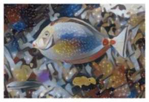 Free download Fish 6 free photo or picture to be edited with GIMP online image editor