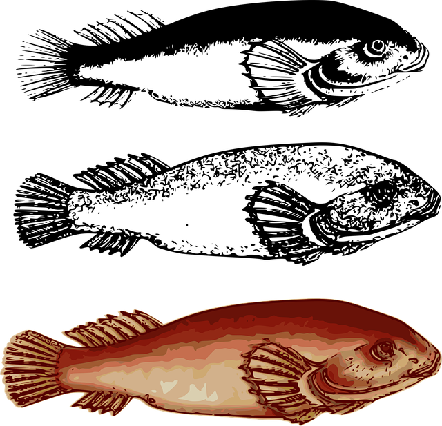 Free download Fish Animal Nature - Free vector graphic on Pixabay free illustration to be edited with GIMP free online image editor