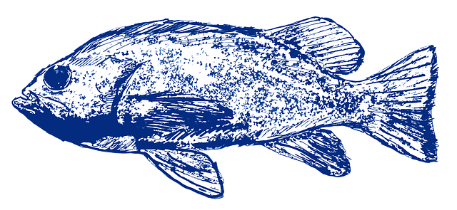 Libreng pag-download ng Fish Blue Sea - libreng ilustrasyon na ie-edit gamit ang GIMP na libreng online na editor ng imahe