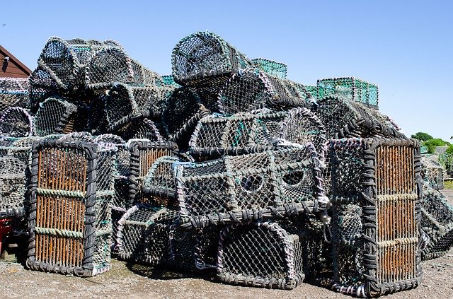 Free download Fisherman Crab Pots Lobster -  free photo or picture to be edited with GIMP online image editor