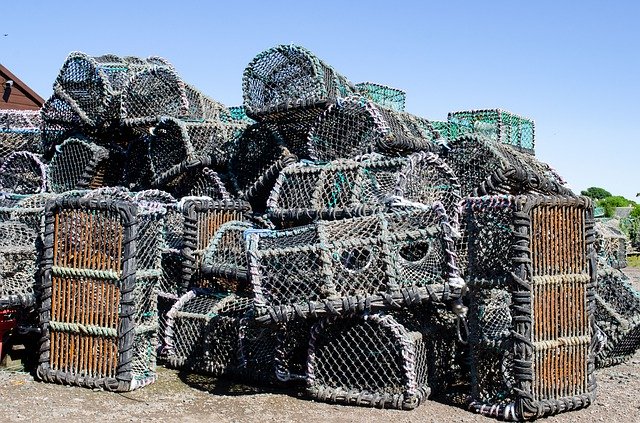 Безкоштовно завантажте Fisherman Crab Pots Lobster - безкоштовну фотографію чи малюнок для редагування в онлайн-редакторі зображень GIMP