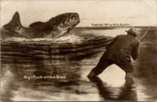 Free download Fisherman With a Giant Bass Fish (1911) by WH Martin free photo or picture to be edited with GIMP online image editor