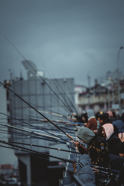 Descărcați gratuit pescari care pescuiesc undițe de pescuit imagini gratuite pentru a fi editate cu editorul de imagini online gratuit GIMP