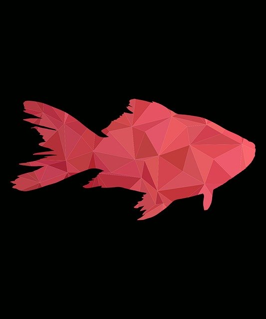 Free download Fish Fisher Master -  free illustration to be edited with GIMP free online image editor