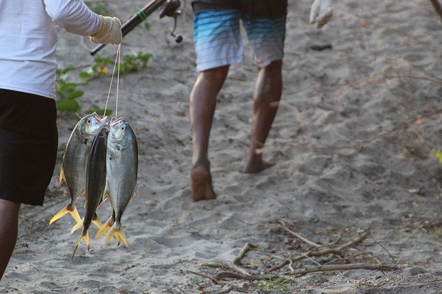 Free download Fish Fishermen Fisherman -  free photo or picture to be edited with GIMP online image editor